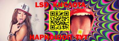 прущие крисы Камышлов