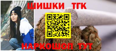 прущие крисы Камышлов