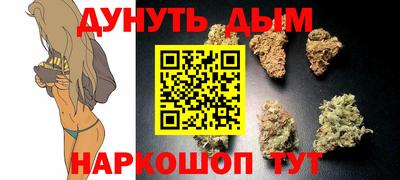 прущие крисы Камышлов