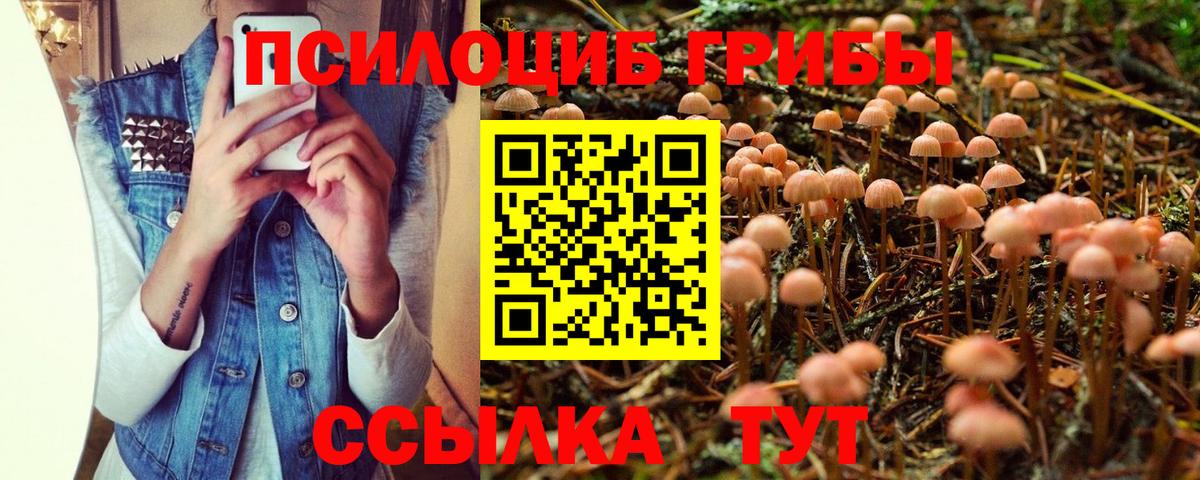 Псилоцибиновые грибы Psilocybe  Вход с VPN  Псилоцибиновые грибы GOLDEN TEACHER  Томск 